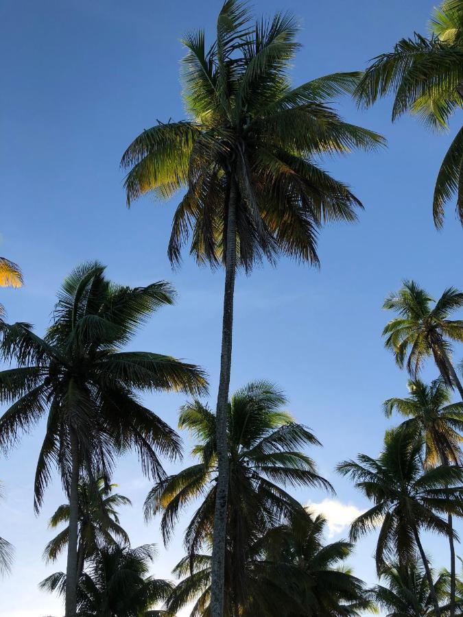 Pousada Fasani Velha Boipeba Buitenkant foto